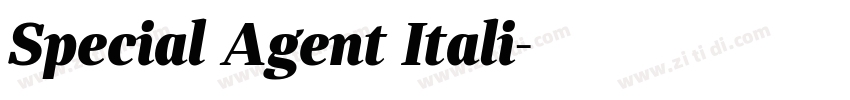 Special Agent Itali字体转换